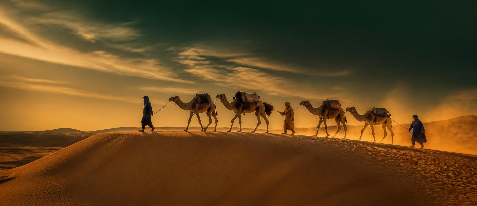 Caravane de chameaux traversant les dunes du Sahara au coucher du soleil
